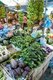 Maldives: Fruit and vegetable market in the capital Male, North Male Atoll
